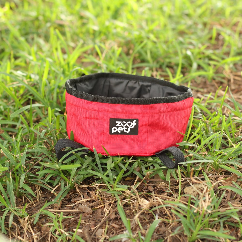 Collapsible water bowl for dog best sale