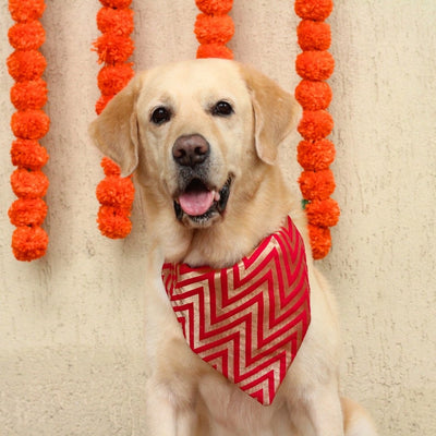 red silk dog bandana