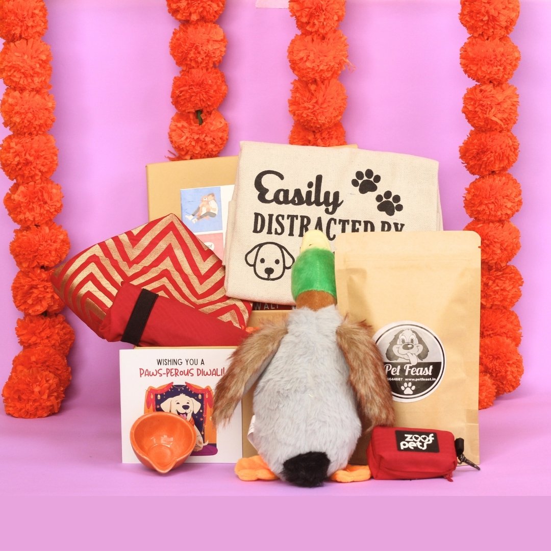 Diwali Gift Boxes for Pets Zoof Pets