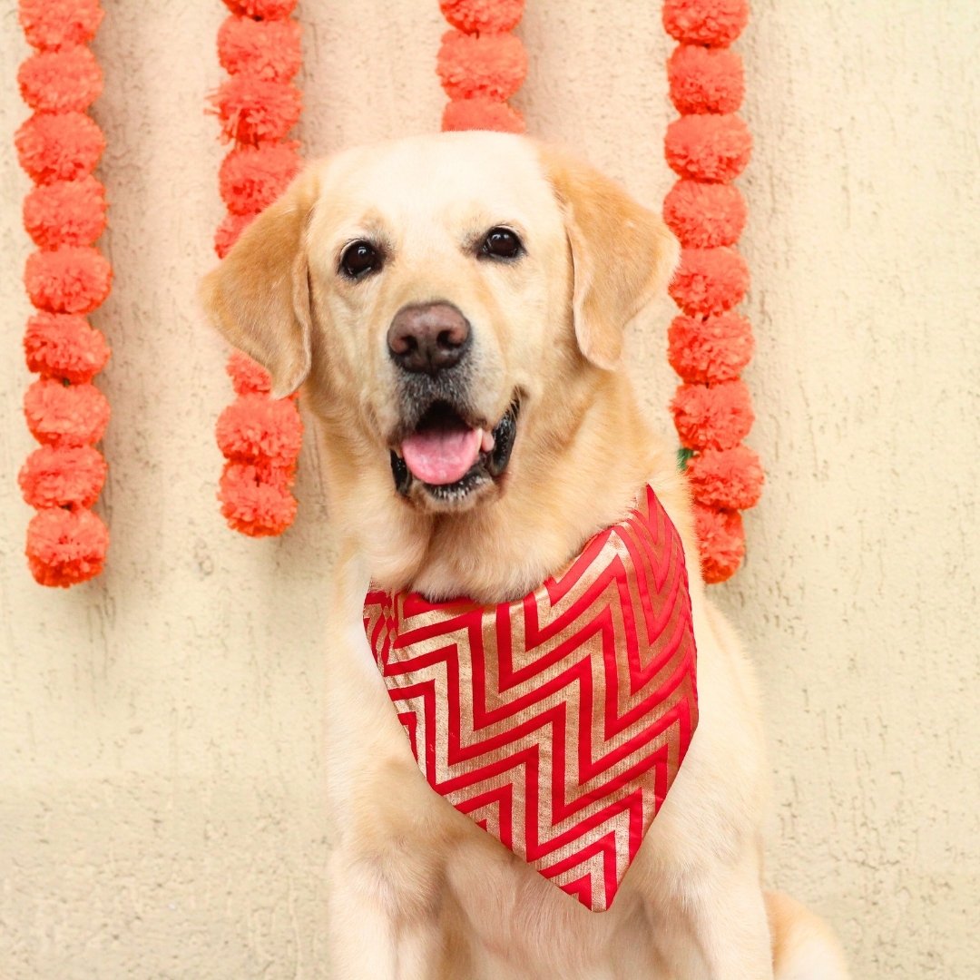 red Bandana for dog