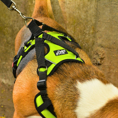 Zoof Comfort Fit Dog Harness