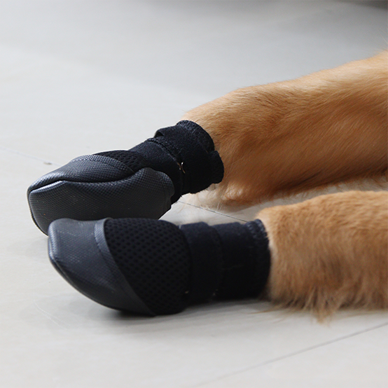 Grip shoes for dogs hotsell