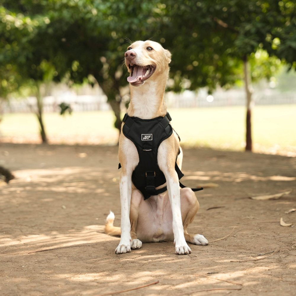 Buy Escape Proof Dog Harness by Zoof Pets Free Size consult